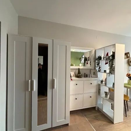 Orchid Noks Design *